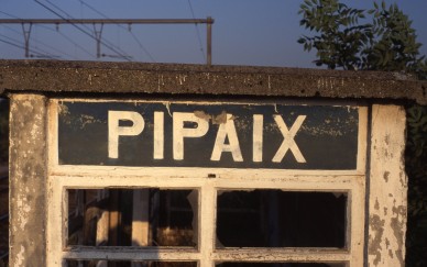 PIPAIX.jpg