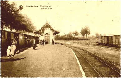 Beeringen.jpg