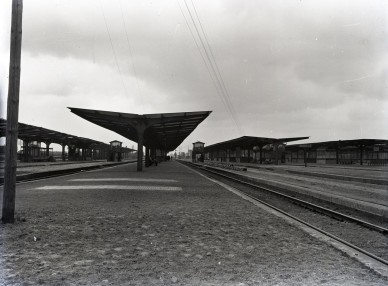 QL1654.jpg