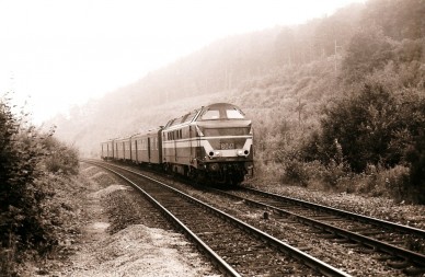 46963359842_3efb0ee771_o.jpg