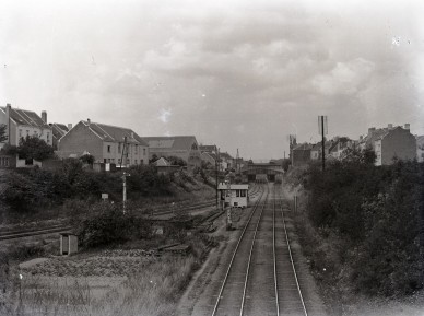 QL1655.jpg