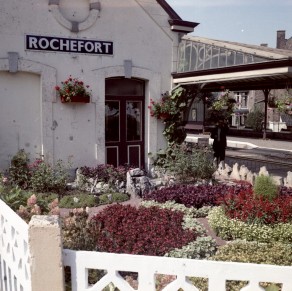 K00110C.jpg