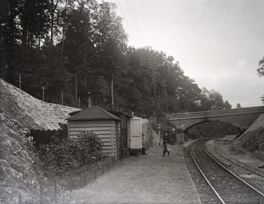 QL1620.jpg